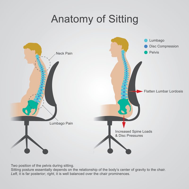 Poor Posture Sitting 2024
